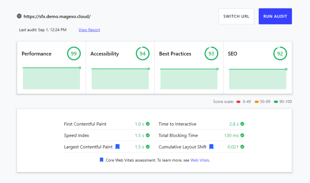 website audit